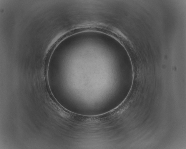 X0000074301216200608251202
