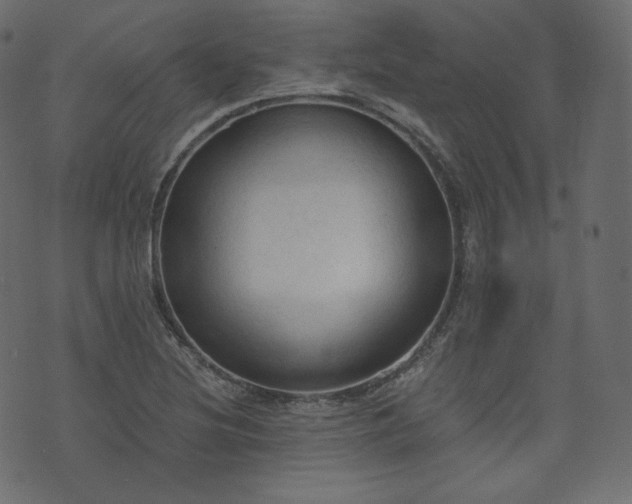 X0000074301220200608251202