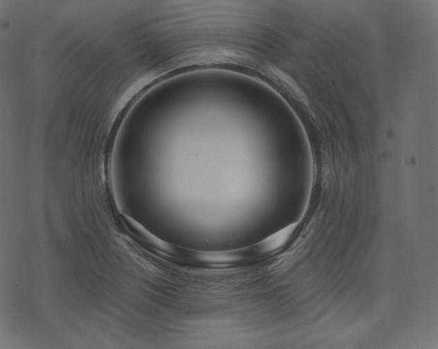 X0000074301226200608251202
