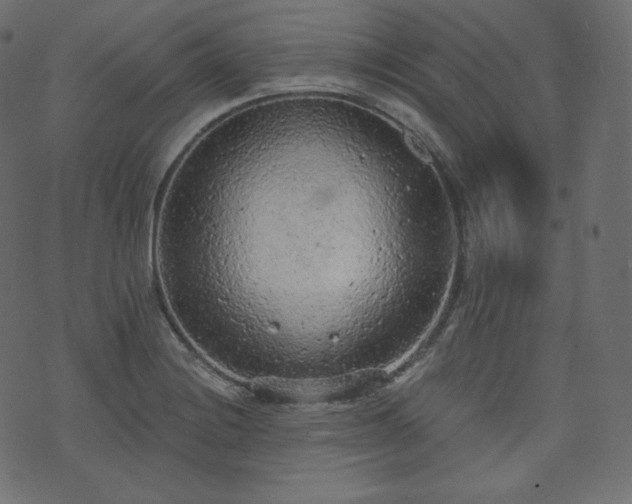 X0000074301228200608251202