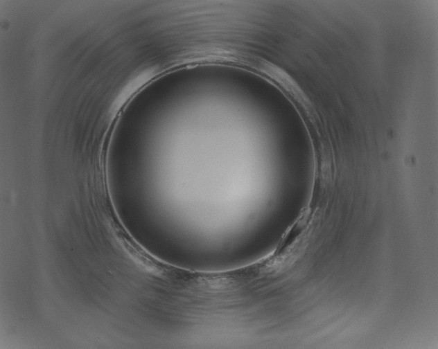 X0000074301242200608251202