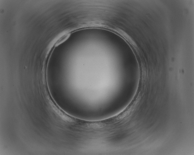 X0000074301246200608251202