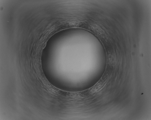 X0000074301249200608251201