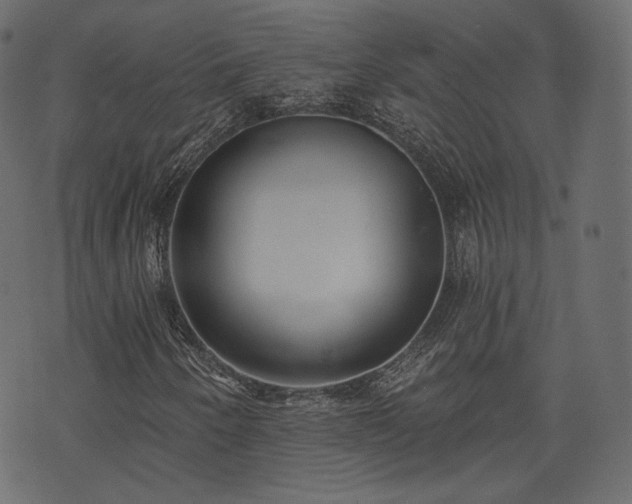X0000074301250200608251201