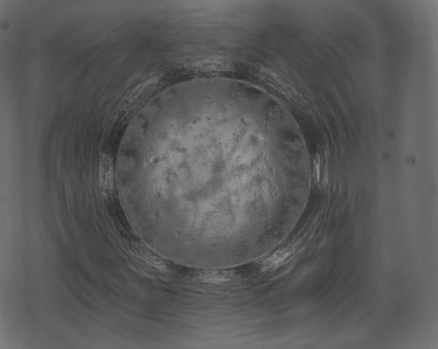 X0000074301251200608251201