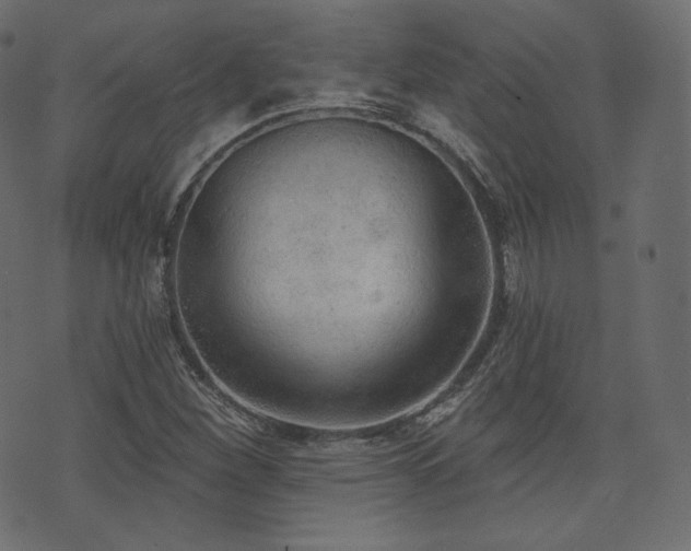 X0000074301260200608251201