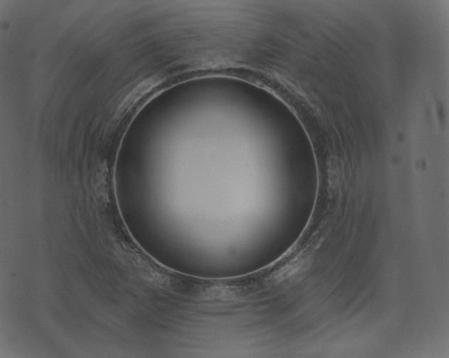 X0000074301265200608251201