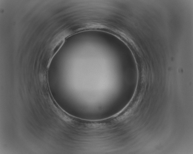 X0000074301281200608251201