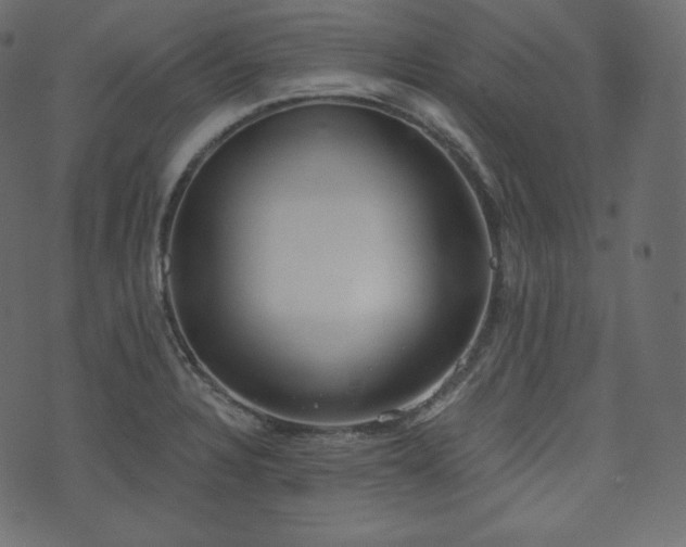 X0000074301328200608251200