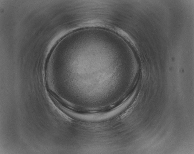 X0000074301334200608251201