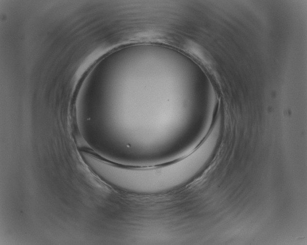 X0000074301336200608251201