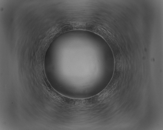 X0000074301345200608251200