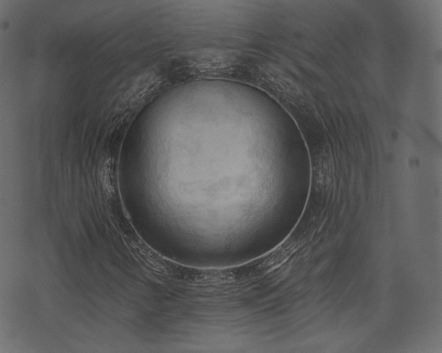 X0000074301346200608251200