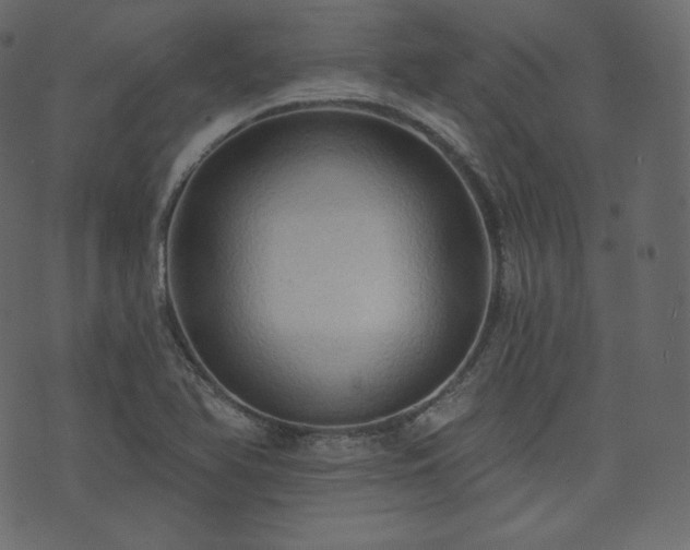 X0000074301366200608251200
