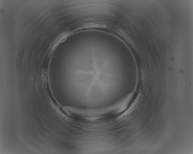 X0000074301369200608251200