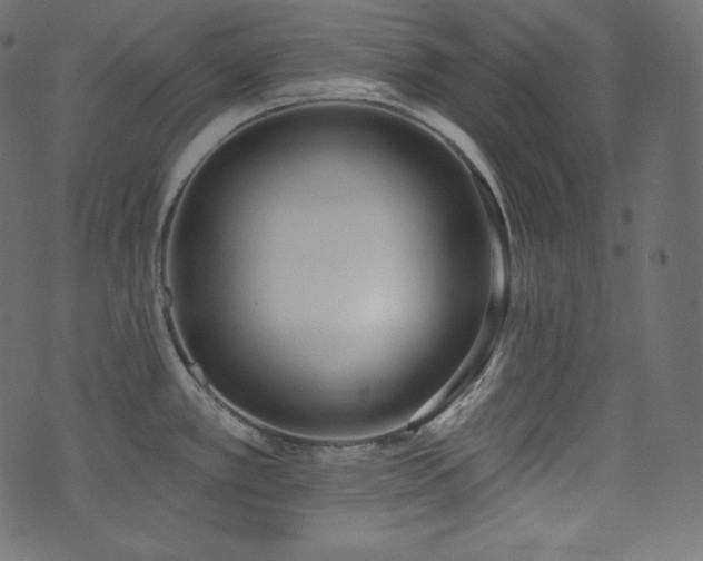 X0000074301389200608251159
