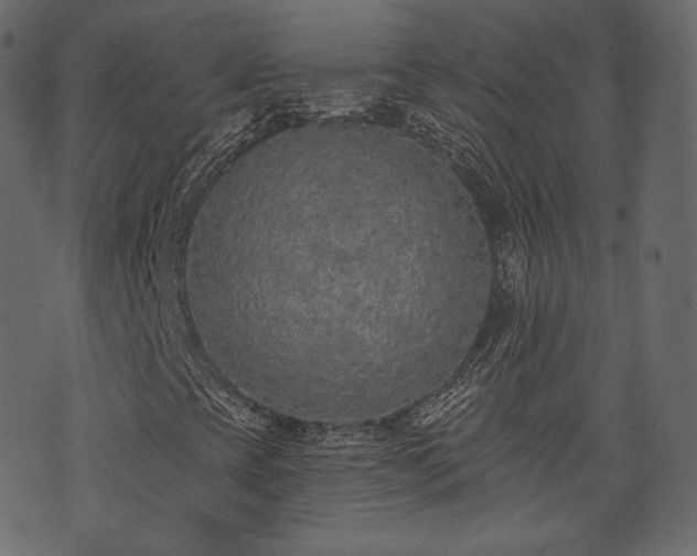 X0000074301393200608251158