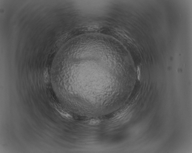 X0000074301395200608251158