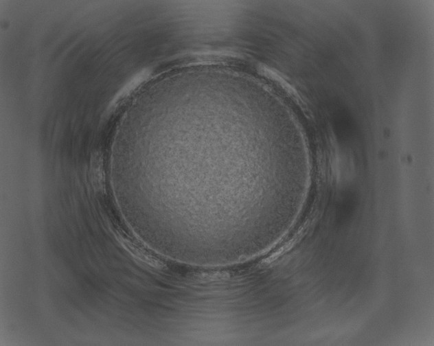 X0000074301403200608251159
