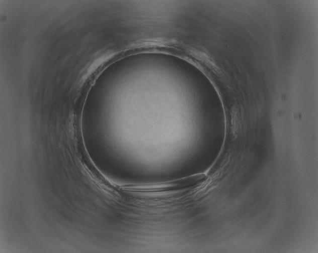 X0000074301404200608251159
