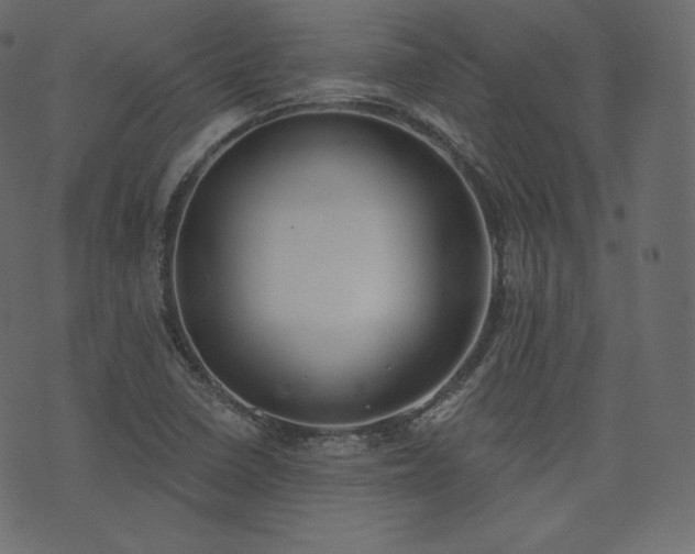 X0000074301410200608251159