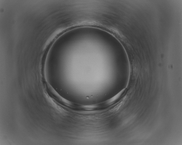 X0000074301422200608251159