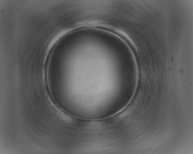 X0000074301424200608251159