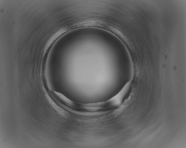 X0000074301426200608251159