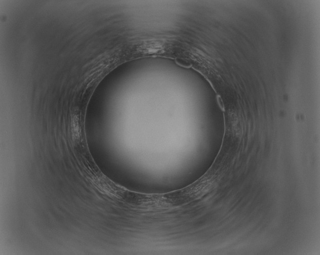 X0000074301442200608251158