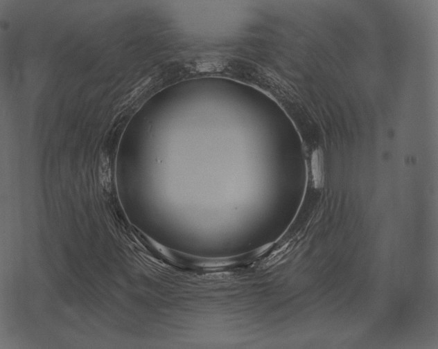 X0000074301443200608251158
