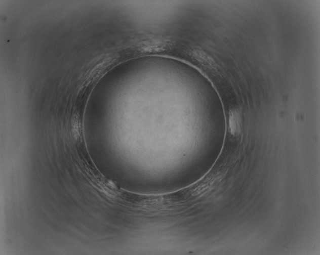X0000074301444200608251158