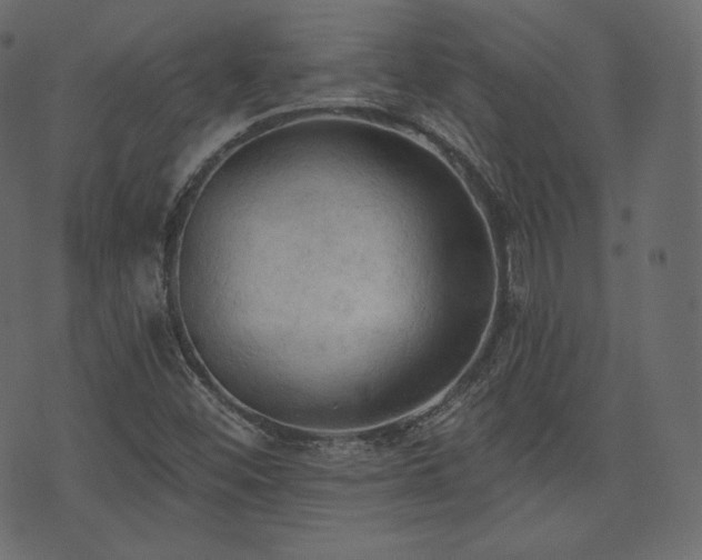 X0000074301452200608251158