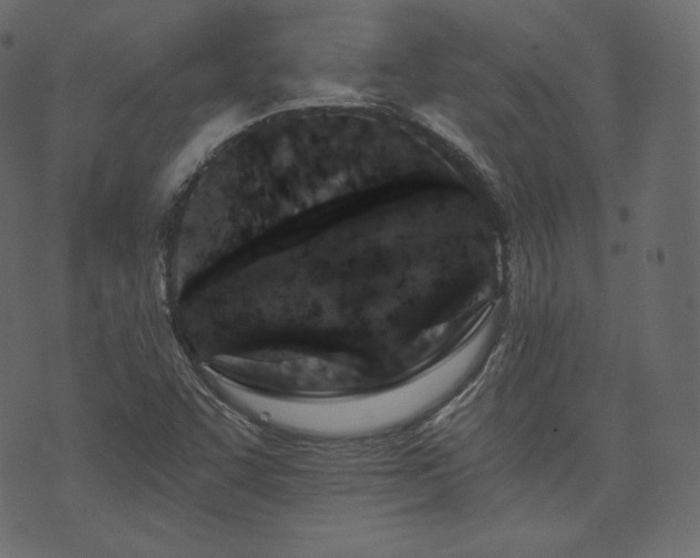 X0000074301455200608251158