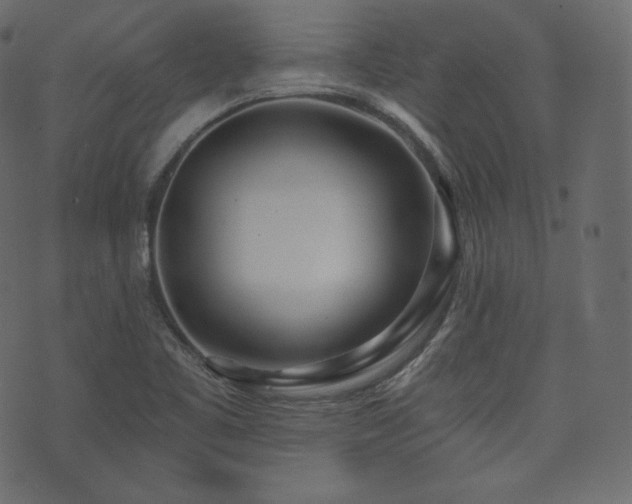 X0000074301461200608251158