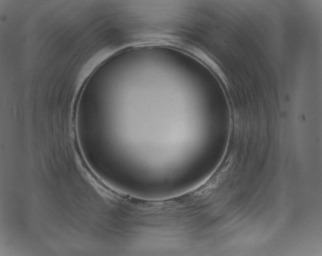 X0000074301485200608251158