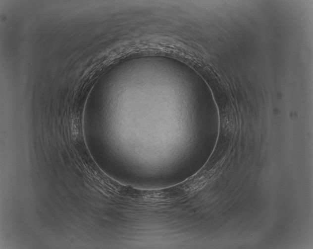 X0000074301490200608251157