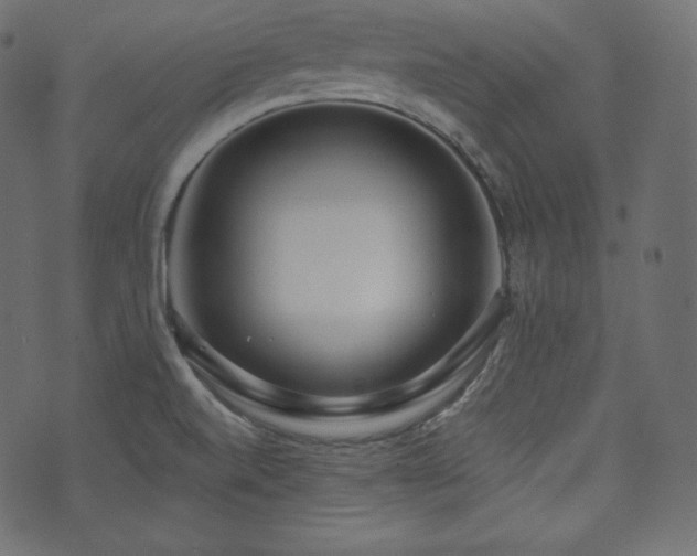 X0000074301520200608251157