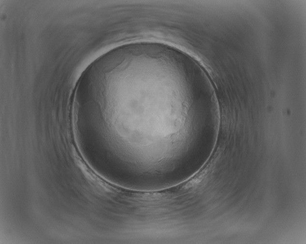 X0000074301534200608251157