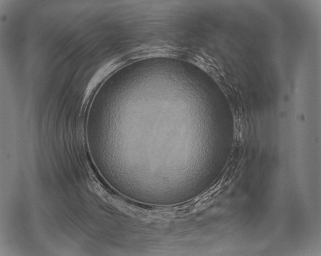 X0000074300004200609011459