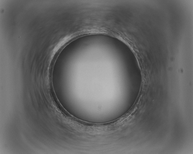 X0000074300008200609011459