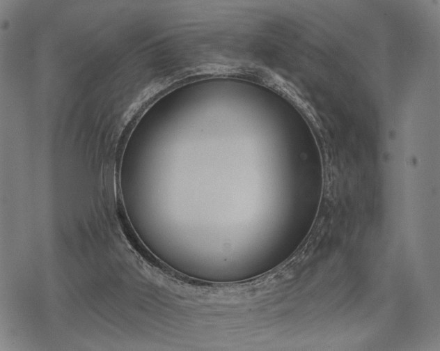 X0000074300011200609011458