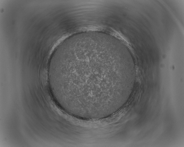 X0000074300012200609011458