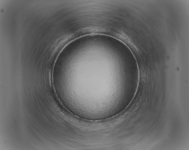 X0000074300014200609011458