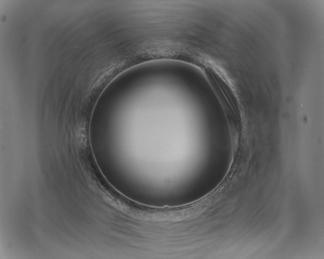 X0000074300017200609011458