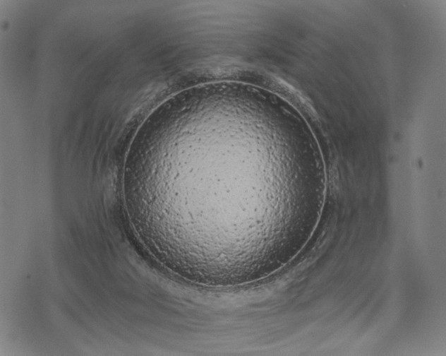 X0000074300018200609011458