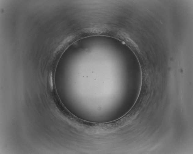 X0000074300020200609011458