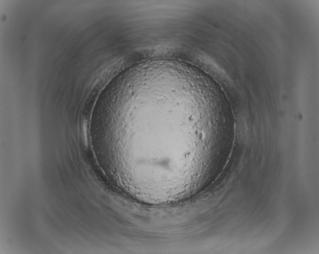 X0000074300022200609011458