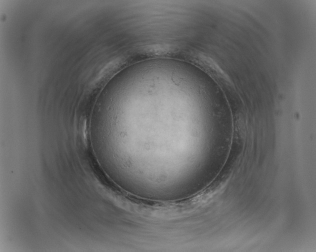 X0000074300024200609011458
