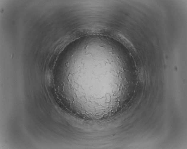 X0000074300026200609011458