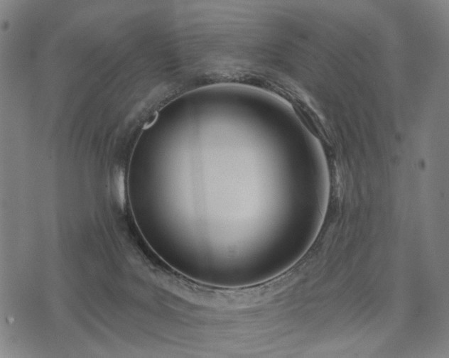 X0000074300027200609011458